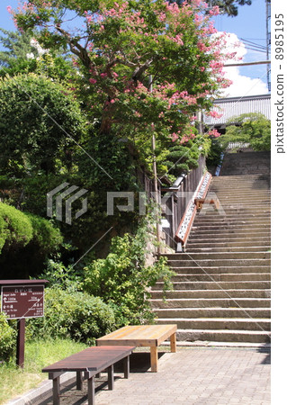 有馬溫泉地區的“Nega zaka”（溫泉寺方法） 8985195