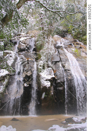 Kinkei瀑布的雪景“日本的100瀑布” 8985201