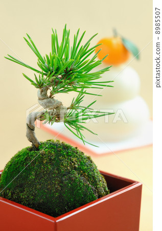 扭松和鏡子蛋糕 8985507