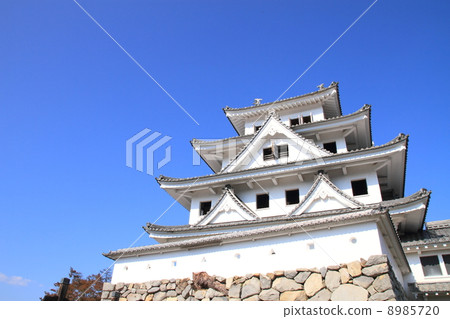 11月岐阜群馬八幡城,天獅 11月岐阜群馬八幡城,天獅 8985720