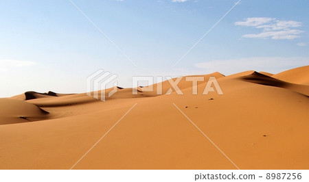 Sahara Desert 8987256