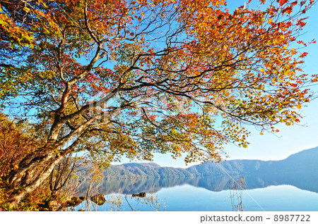 秋葉的Kutara湖 8987722