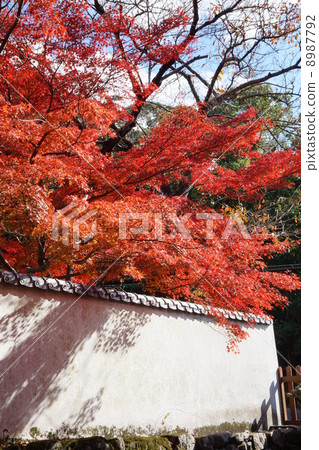 Kuanji秋葉 Kuanji秋葉 8987792