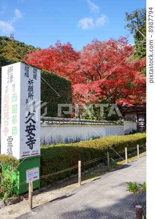 Autumn leaves of Kuanji Autumn leaves of Kuanji 8987794