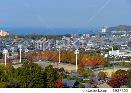 彥根的街道 8987803