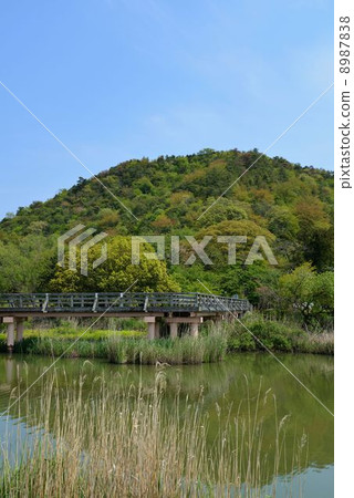 Sone沼澤 Sone沼澤 8987838