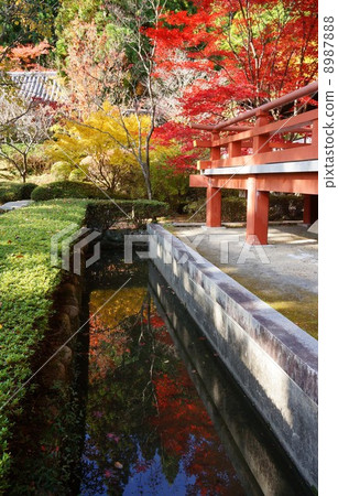 Kuanji秋葉 Kuanji秋葉 8987888