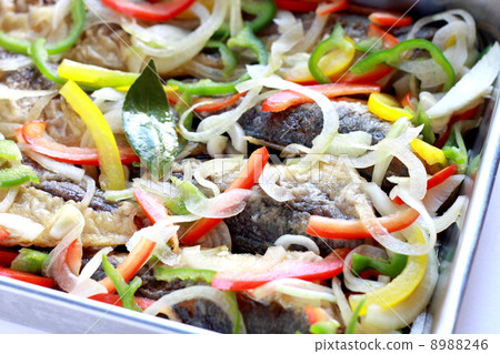 Pickled salted pickles Pickled salted pickles 8988246