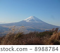 富士山 8988784