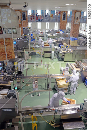 北海道白戀人公園 8989600