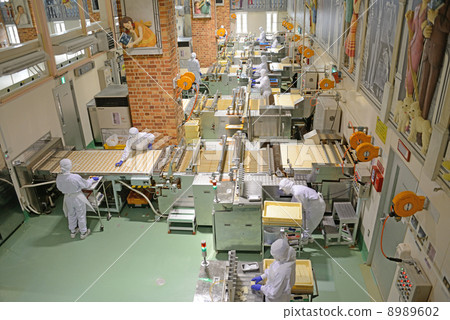 Hokkaido White Lovers Park Hokkaido White Lovers Park 8989602