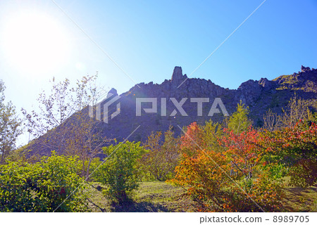 北海道支笏洞爺國家公園 8989705