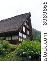 Shirakawago 8989865