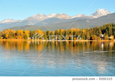 Fall of Whistler Fall of Whistler 8990103