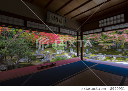 高台寺皇帝的北方花園 8990931