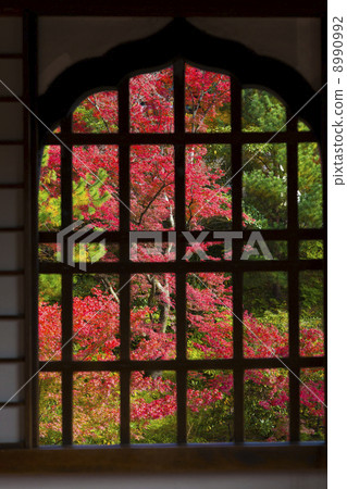 從Kodaiji寺廟的秋葉 8990992