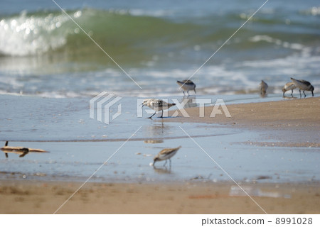 本年 本年 8991028