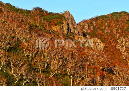 Orofure通行證 Orofure通行證 8991727