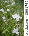 Takao Shaga 8991769