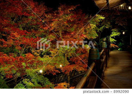 Kiyomizu Temple in Binzhou in autumn 8992090
