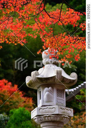 Shinoyama / Kozoji Temple 8992091