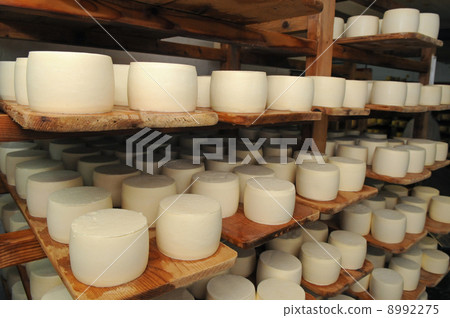 cheese storage cheese storage 8992275
