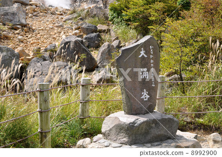 Hakone Oiya valley 8992900