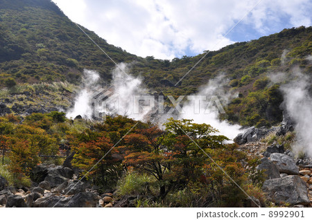 Hakone Oiya valley Hakone Oiya valley 8992901
