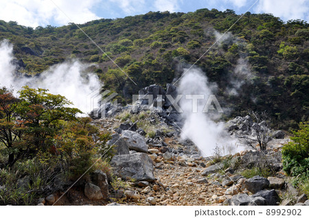 Hakone Oiya valley 8992902