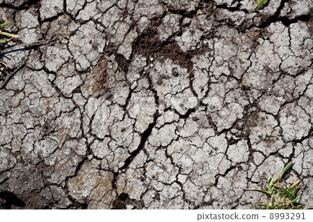 Dry land Dry land 8993291