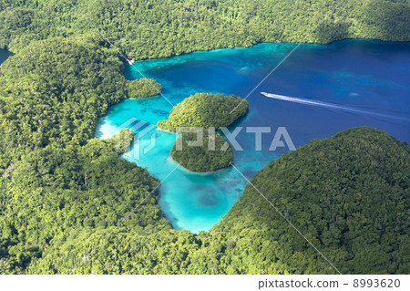 Palauan rock island aerial photograph Palauan rock island aerial photograph 8993620