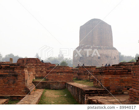 達梅克·舍利塔 8994017