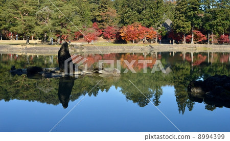 Oizumi-ike at Hikoshidori in autumn 8994399
