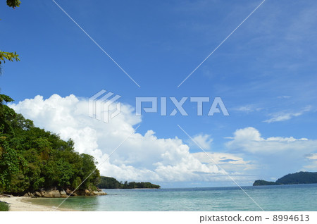 哥打京那巴魯 8994613