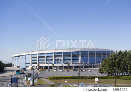 千葉海洋球場 8994651