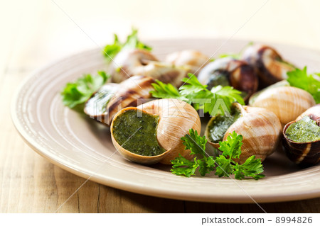 plate of escargots plate of escargots 8994826