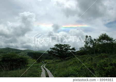 Horizontal horizontal arc (horizontal ring): Shimosuwa machi Nagano prefecture Okubogamine Hachiagahara Marshland July - 115 8994981