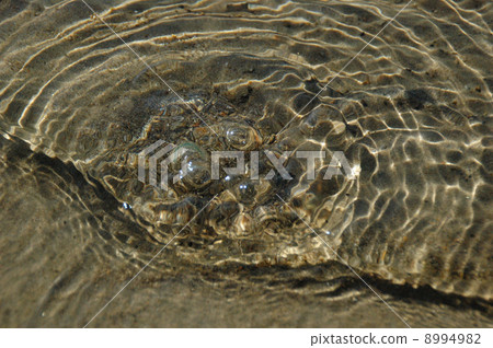 泉水：長野縣大上市青木湖41 8994982