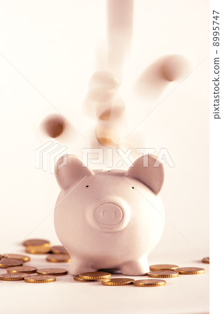 pig pig 8995747
