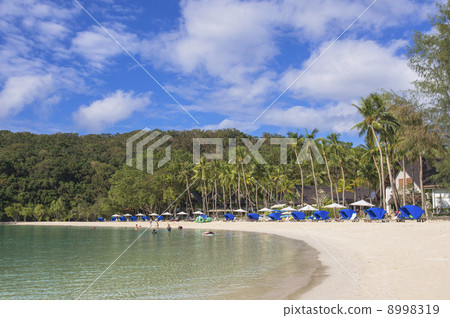 Pacific Resort in Palau 8998319