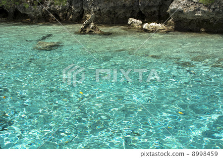 帕勞的岩島 8998459