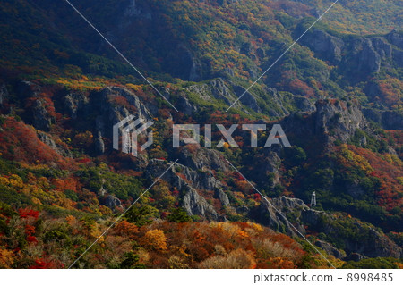 小豆島秋天的寒冷春天 8998485