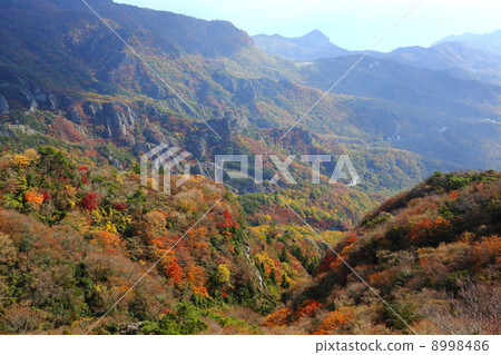 小豆島秋天的寒冷春天 8998486