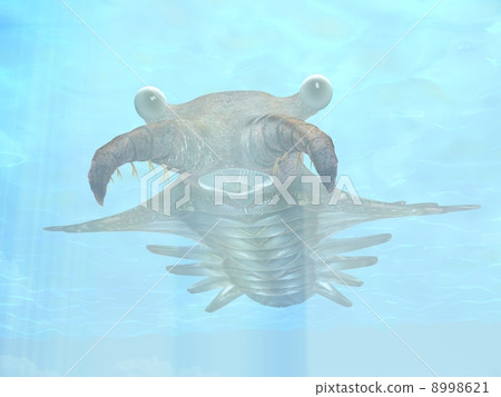 Anomalocalis 8998621