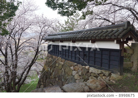 Yamato-goriyama城堡遺址公園石垣和土牆 Yamato-goriyama城堡遺址公園石垣和土牆 8998675
