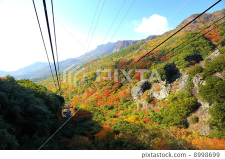 Shodoshima autumn's Cold Spring 8998699