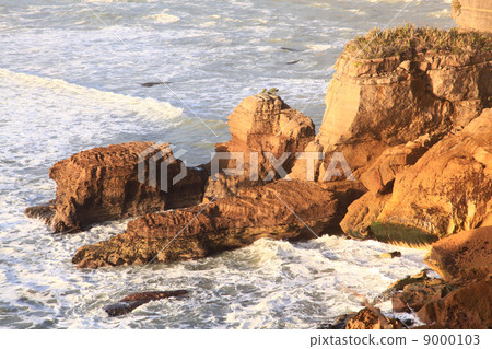 coastal line canyon at west coast of New Zealand 9000103