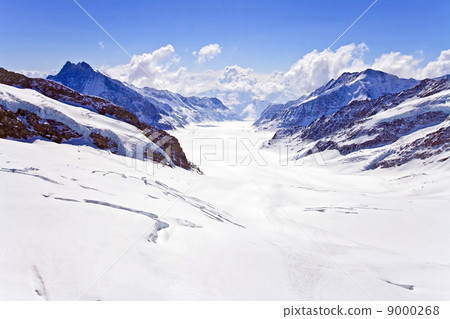Aletsch alps glacier Switzerland Aletsch alps glacier Switzerland 9000268