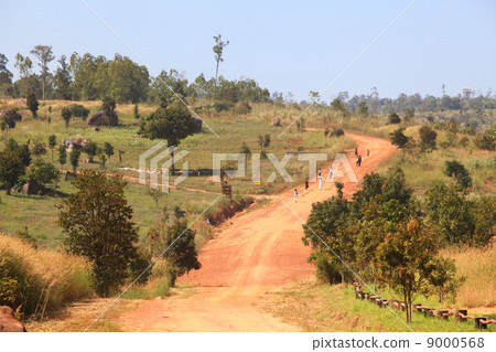 Traveller walk at Curve Dirt road 9000568