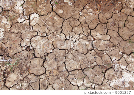 Wet cracked ground filling the frame as background Wet cracked ground filling the frame as background 9001237